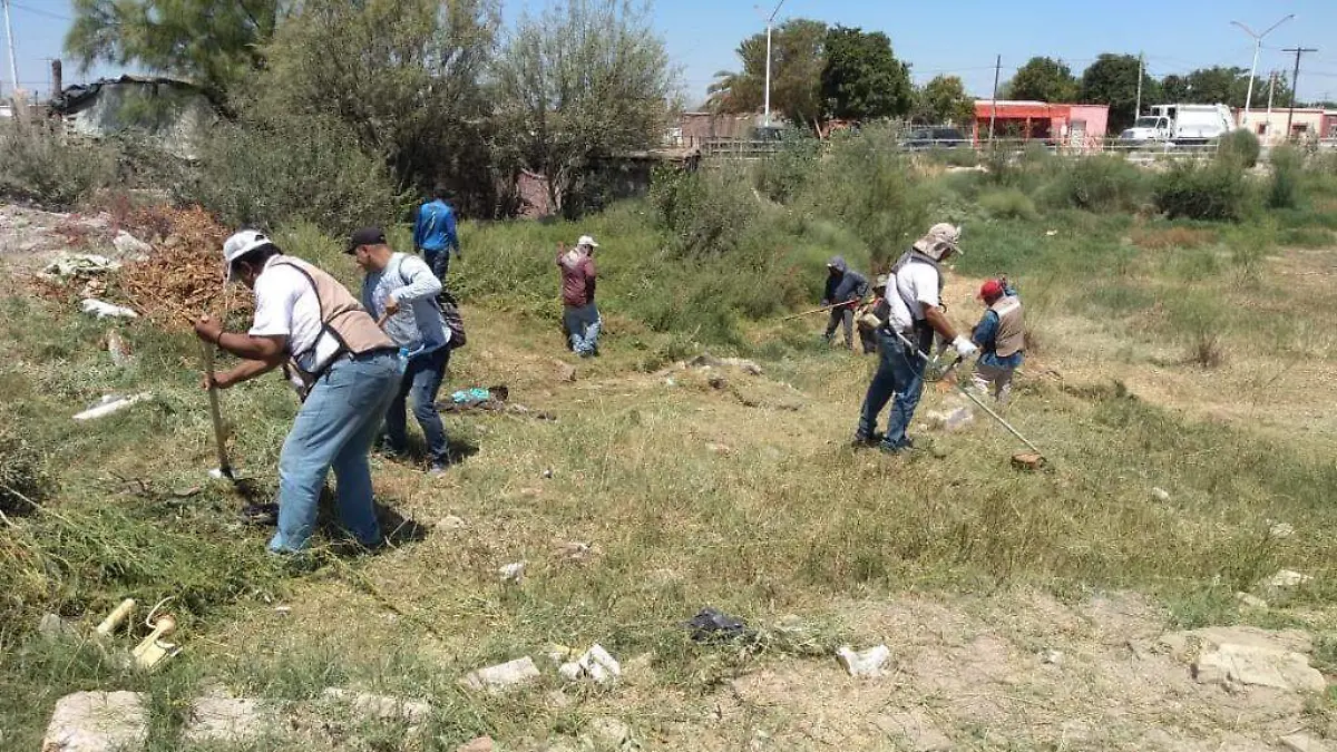 19 Ayuntamiento Realiza Acciones de Saneamiento Básico y Limpieza